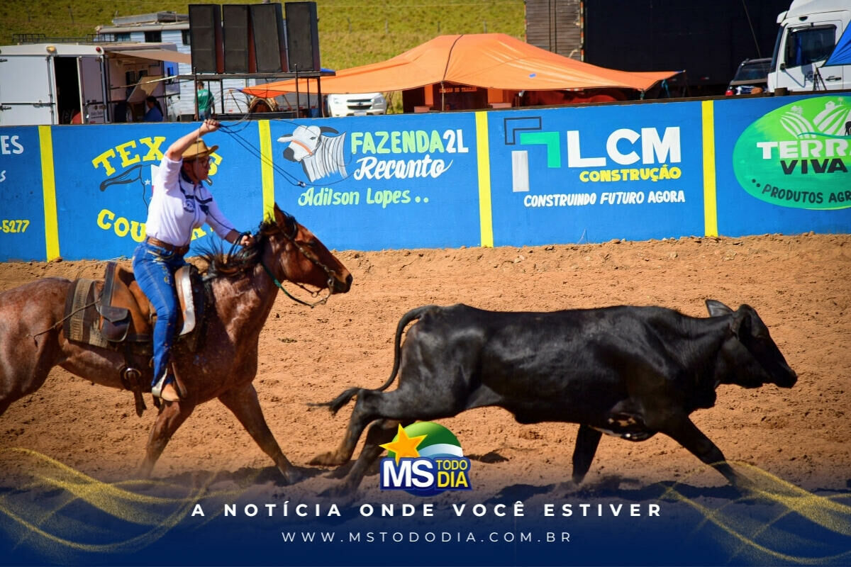 Imagem da Galeria